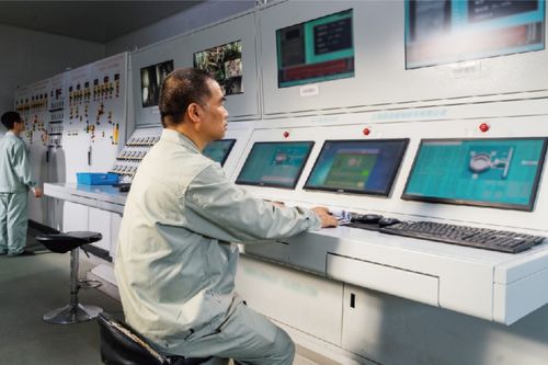 绿色技改赋能制造业转型 书写“双碳”战略重庆答卷的信息技术咨询服务