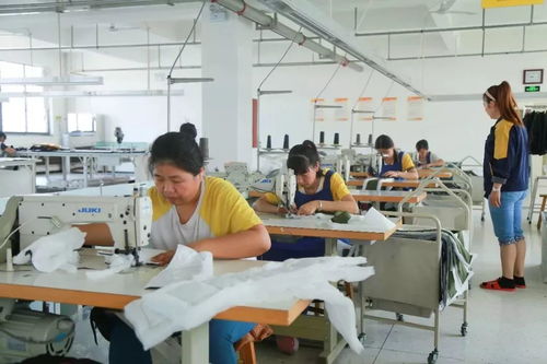 裘皮厂技术比武点 匠心技能比拼铸就高端品质